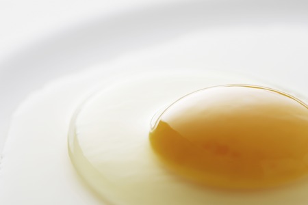 Raw eggsの写真素材