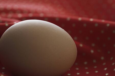 1 piece eggの写真素材