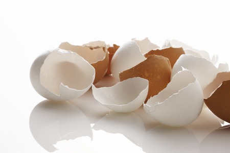 Egg shells