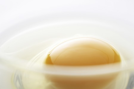 Raw eggsの写真素材