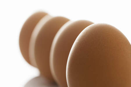 upright lined eggs