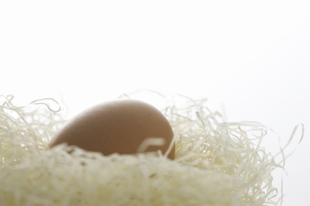 Eggの写真素材