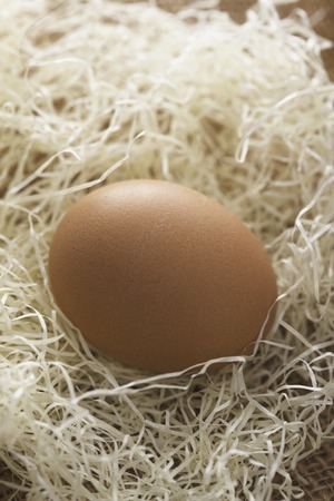 Egg