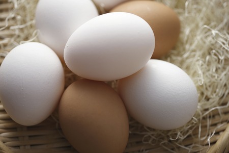 More than one eggの写真素材
