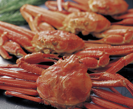 Snow crab