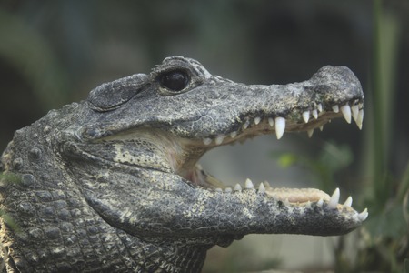 Bicyclicの写真素材