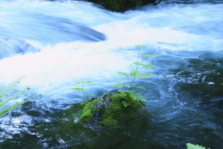 Oirase streamの写真素材