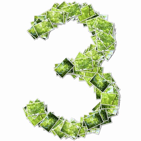 Pictures of fresh green in figuresの写真素材