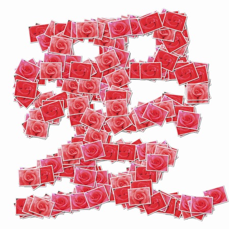 Kanji rosesの写真素材