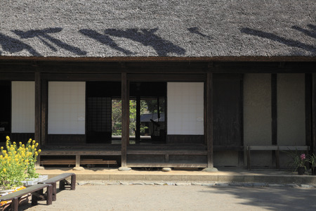 Thatched roofの写真素材