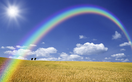 Wheat fields and trees and clouds and Rainbow and Sunの写真素材