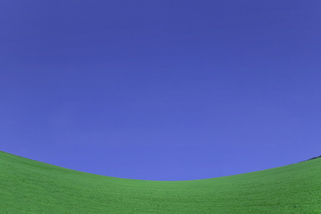 Green meadow and blue skyの写真素材