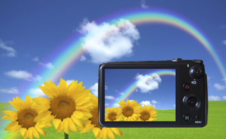 Digital camera LCD monitorの写真素材