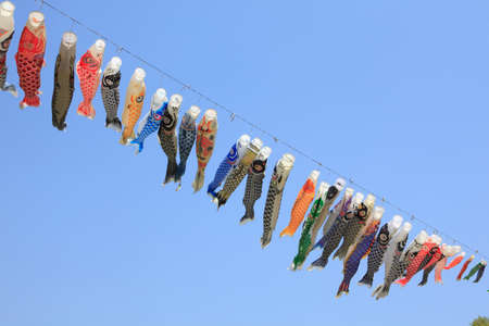 Carp of Wakamiya parkの写真素材