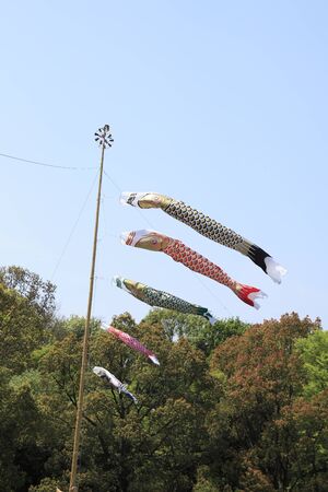 Carp of Wakamiya parkの写真素材