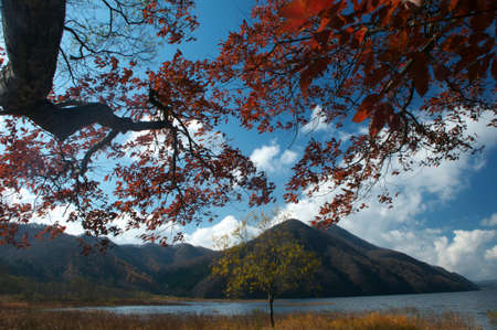 Autumn leaves of Lake Akimotoの写真素材
