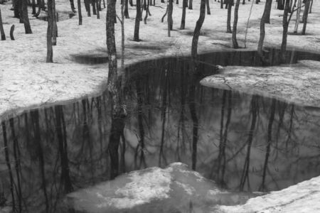 When I was a thawの写真素材