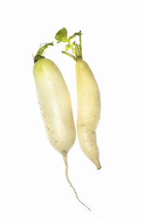 Radish
