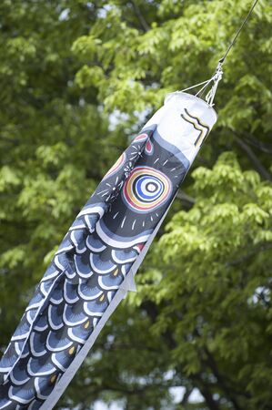 Carp streamerの写真素材