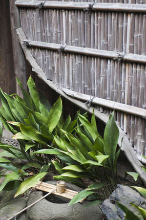 Takehei and chzubachiの写真素材