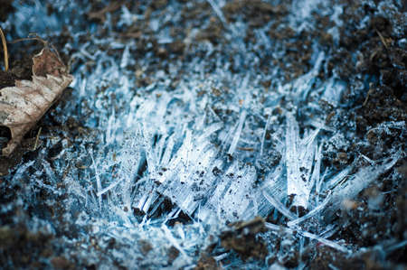 Frostの写真素材