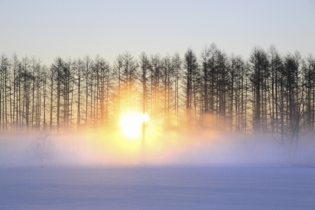 Snowy morning sunの写真素材