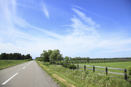 Ranch and one straight roadの写真素材