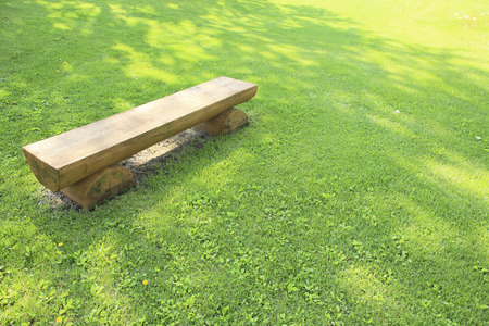 Shady lawnの写真素材