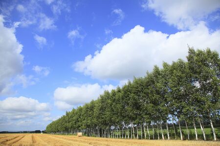 Sky and Earthの写真素材