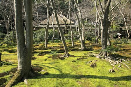 SHIDO Templeの写真素材