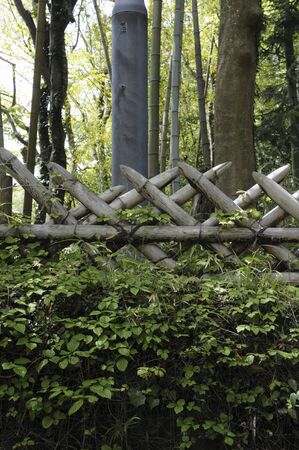 Takehei of old templeの写真素材