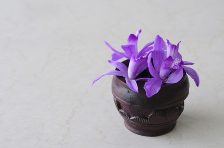 Hana silane was placed in a vessel of woodの写真素材