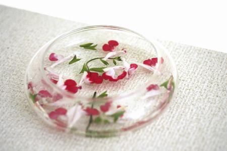 Flower arrangement of Cherry Sageの写真素材