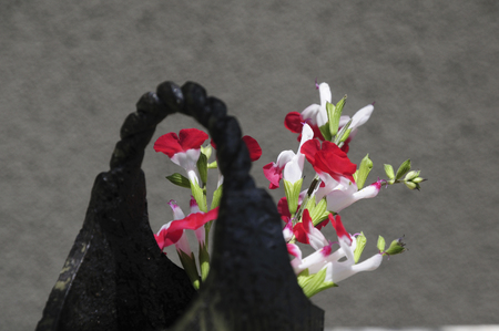 Flower arrangementの写真素材