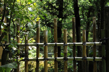 Takehei of Japanese houseの写真素材