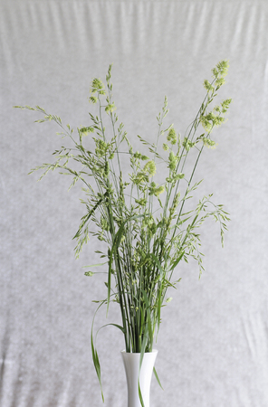 Arrangement of wild flowersの写真素材
