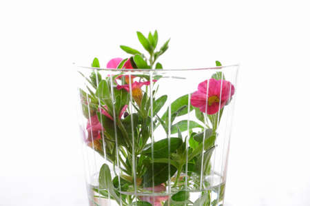 Flower arrangements, Million Bellの写真素材