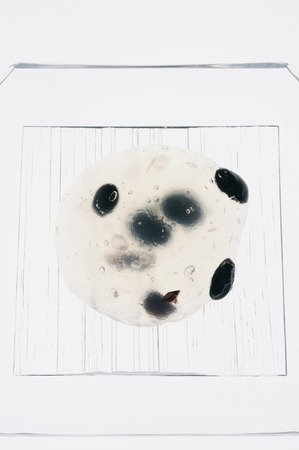 Japanese sweet black bean debris rice cake that was placed in a bowl of glassの写真素材