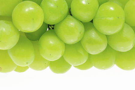The grapes of green in white backの写真素材