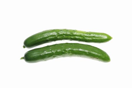Cucumber in white backの写真素材