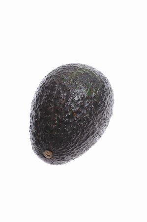 The avocado in white back
