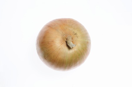 And onion in white backの写真素材