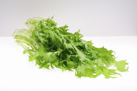 In white back and vegetables mizunaの写真素材