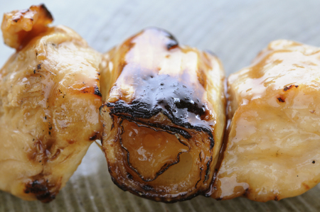 Up of Negima of yakitori on the dishの写真素材