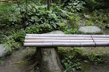 Bench made of bamboo and stumpの写真素材