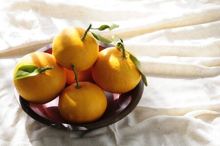 Natsumikan which was placed in a basketの写真素材