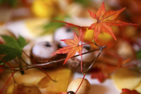 Japan foodの写真素材