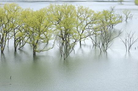 Willow Lakeの写真素材