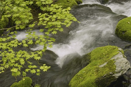 Mountain streamの写真素材