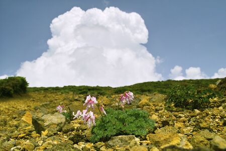 Comixの写真素材